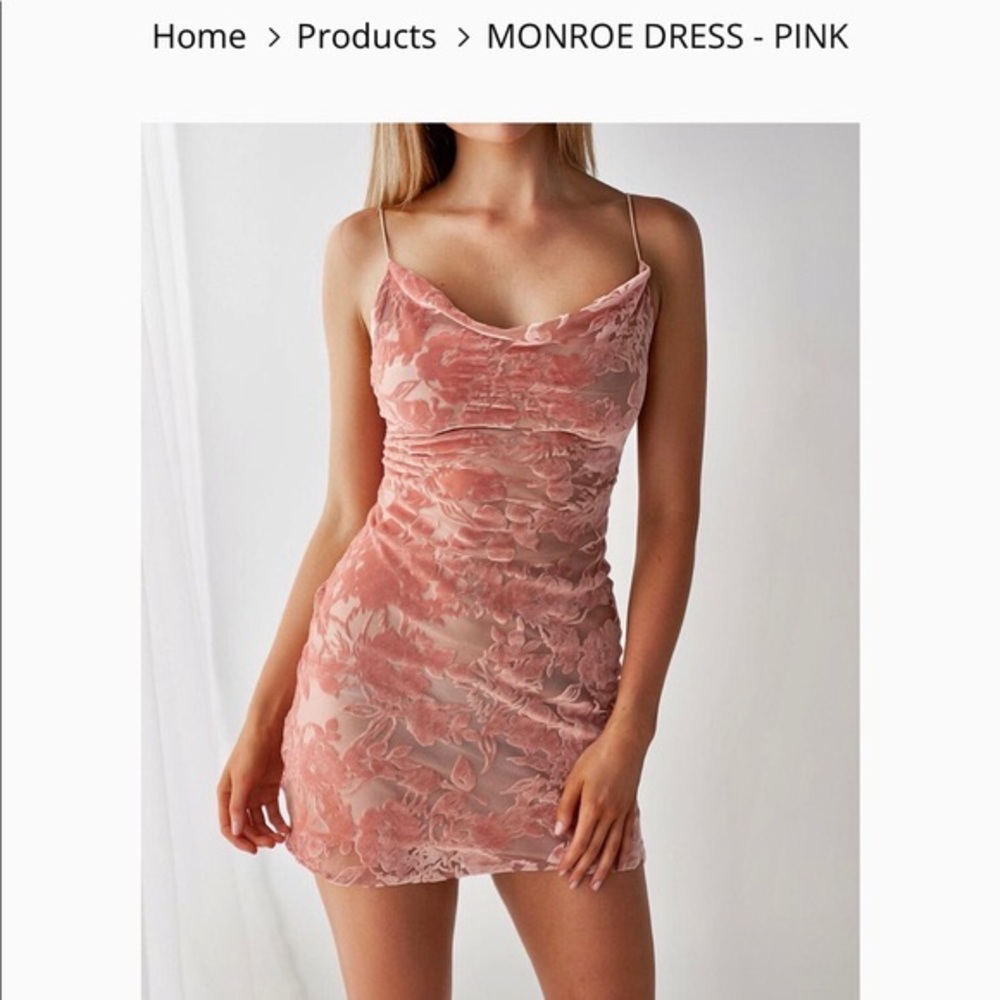 Blush velvet mini dress by Rosebullet, an Australian designer. Size 4